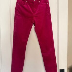 Banana Republic Women's Fuchsia Skinny pants size 0 velvety texture